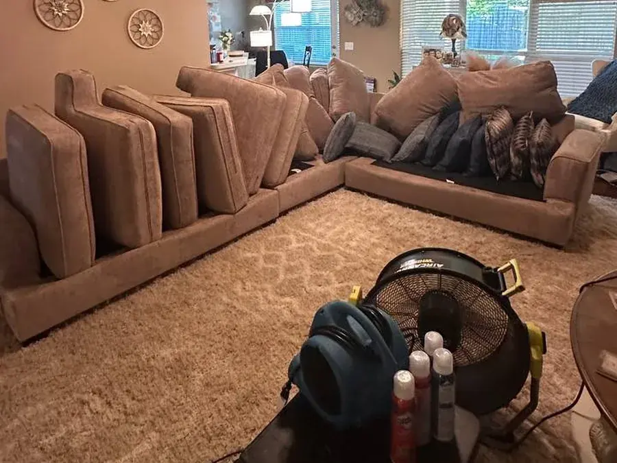 Sectional cushions stood on end to dry with air movers after deep cleaning