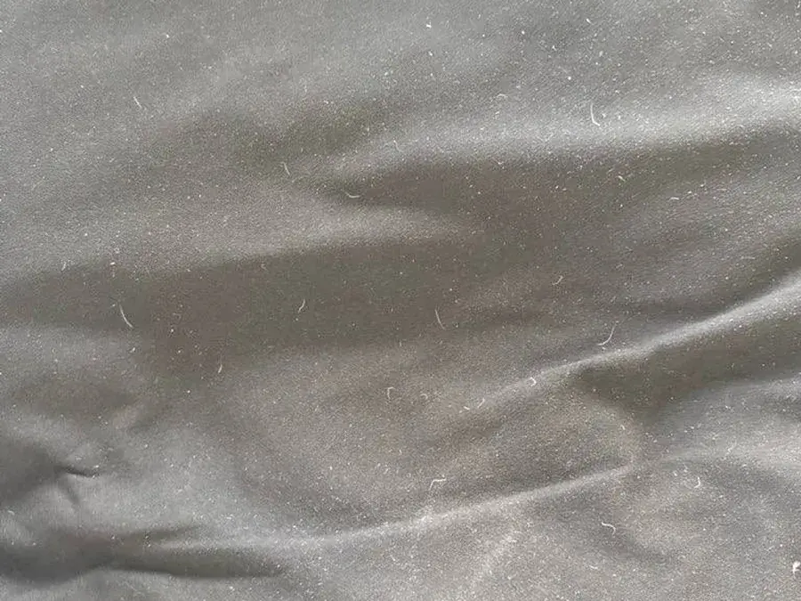 Close-up of black sofa fabric covered in feathers and light lint before cleaning