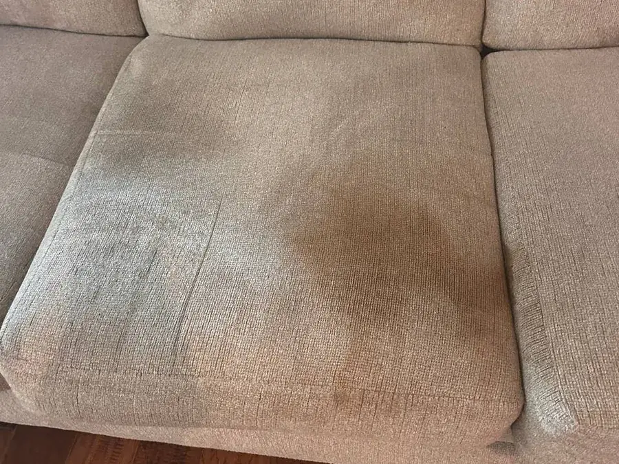 Close-up of the dog urine stain soaked into the seat cushion before cleaning