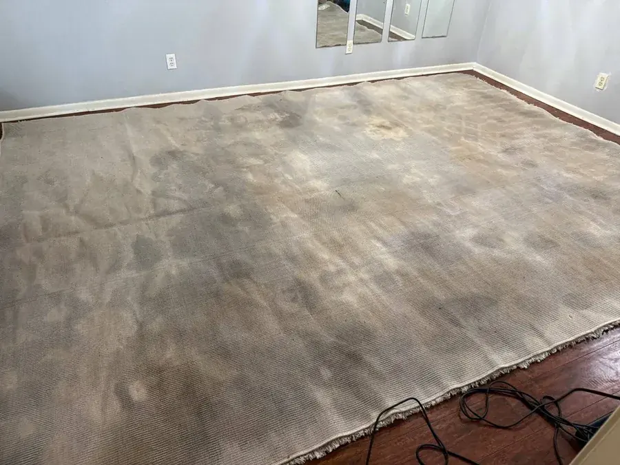 Back of the shag rug before cleaning, blotched with urine that soaked all the way through