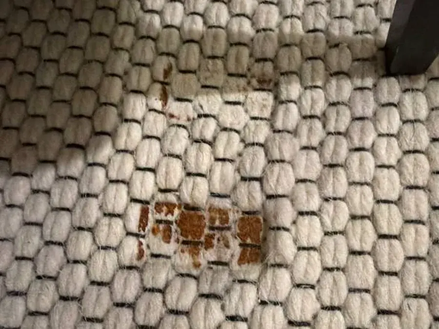 Rust stain on a cream woven area rug before cleaning in a Houston home