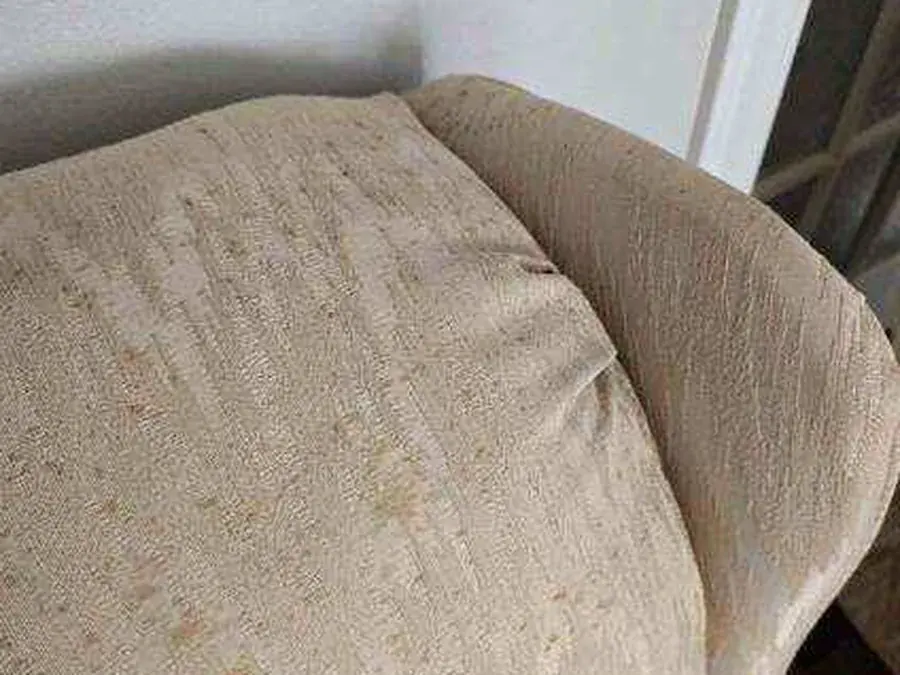 Close-up of rust and suspected mold spots on the chair headrest before cleaning